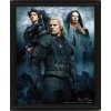 OBRÁZEK 3D|26 x 20 cm  THE WITCHER|CONNECTED BY FATE