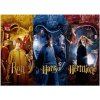 PUZZLE 50 KUSŮ|HARRY POTTER  HARRY & RON & HERMIONE|50 KUSŮ