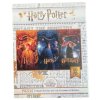 PUZZLE|HARRY POTTER  HARRY & RON & HERMIONE|50 KUSŮ