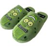 TREPKY NAZOUVACÍ UNISEX  RICK & MORTY|PICKLE RICK|EU 42-45