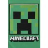 TRIČKO DĚTSKÉ|MINECRAFT (Výška/Věk 3-4 roky)