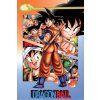 PLAKÁT 61 x 91,5 cm  DRAGON BALL Z|GOKU