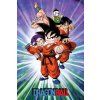 PLAKÁT 61 x 91,5 cm  DRAGON BALL Z|GROUP