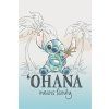 PLAKÁT 61 x 91,5 cm|DISNEY  LILO & STITCH|OHANA MEANS FAMILY