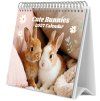 KALENDÁŘ 2027 STOLNÍ|ZVÍŘATA  BUNNIES (20 x 17 cm)