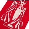 ŠÁLA PLETENÁ|ARSENAL FC  CHAMPIONS 25/26|132 x 19 cm