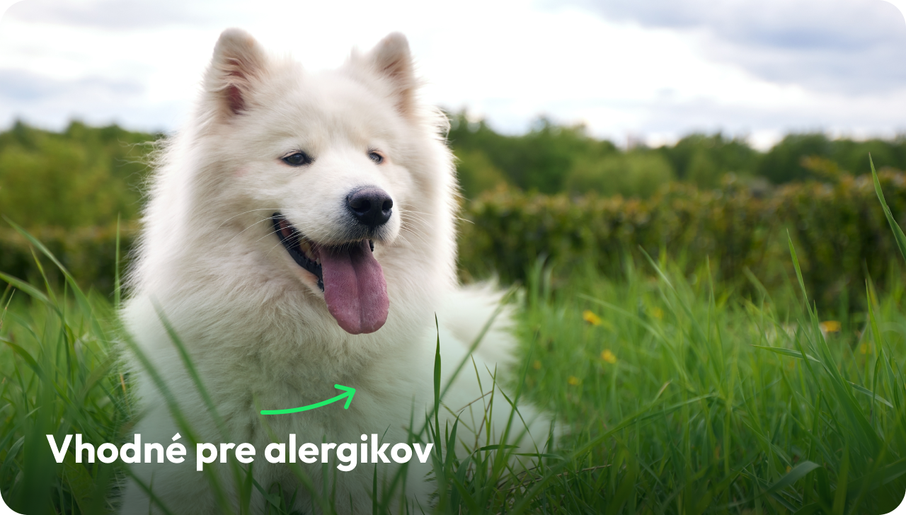 Vhodné pre alergikov