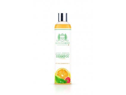 Righteous Roots Clarifying Shampoo - šampon