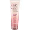 Giovanni 2chic Frizz Be Gone Shampoo - šampon s 20 benefity