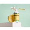 Ecoslay lemon