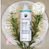 Odylique conditioner detangler