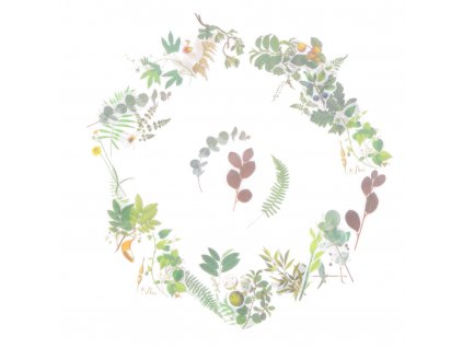 Washi samolepky - Plants, 60 ks