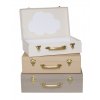 A3220 Suitcases open