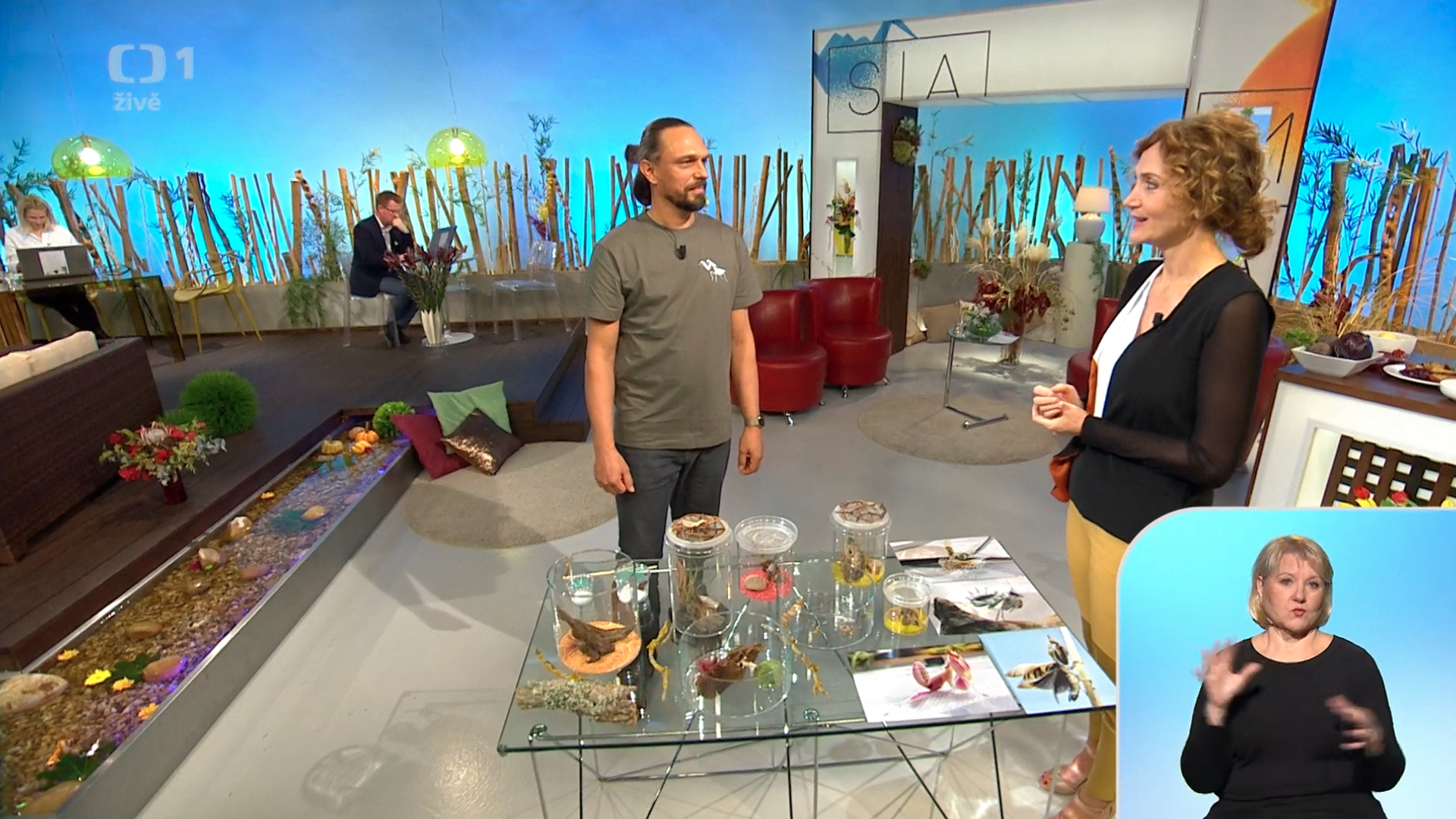 Cute Mantis v pořadu Sama doma na České televizi