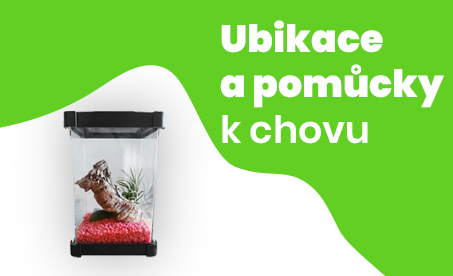 Ubikace k chovu kudlanek - kelímky, krabičky, kyblíky, plastové ubikace a terária