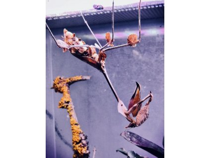 00cef629 55d3 4688 916d 53104d244c9b