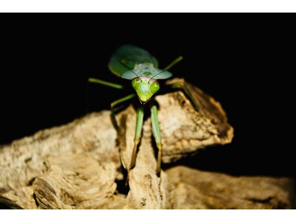 8ba4751a 5d34 44f7 8349 0882ce7c70bc