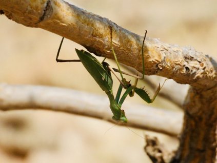 8fa66b4a 59b0 48d7 972f f9ff8dcb2c3c