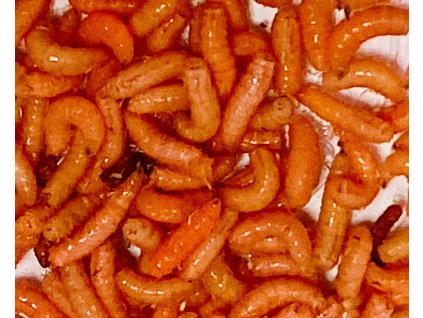 Mouchy ve velkém