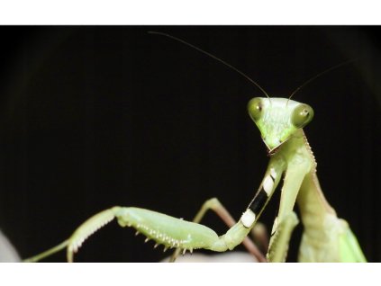 Snímek obrazovky 2025 08 12 v 11.20.30