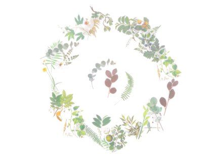 282 1 washi samolepky plants 60 ks