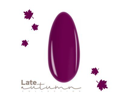 315 late autumn late violet