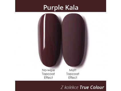 685 gdcoco uv gel true color purple kala 8 ml