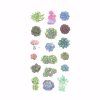 390 4 samolepky succulents 6 archu