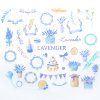 Lavender01