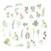 282 washi samolepky plants 60 ks