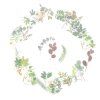 282 1 washi samolepky plants 60 ks
