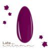 315 late autumn late violet