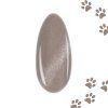 925 silk catitude scratcher