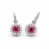 C2745 malina