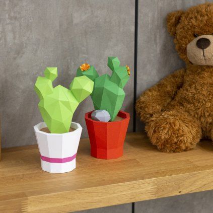 Opuntia with teddy