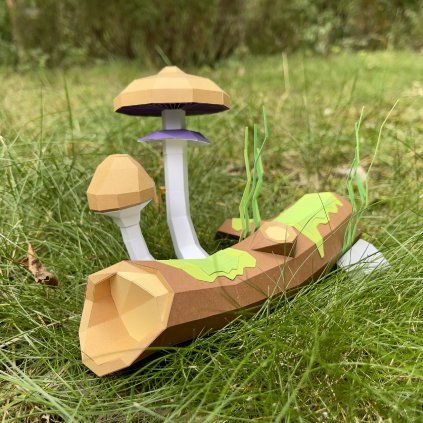 shrooms forest b