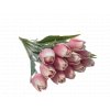 tulipan ruzovo bily