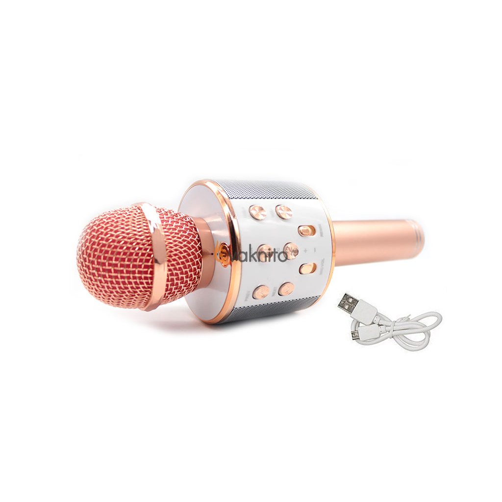 Karaoke mikrofón s Bluetooth a reproduktorom LineComp Q9