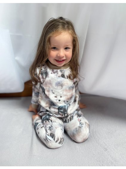 Mikina "Pútnici Sibíru"