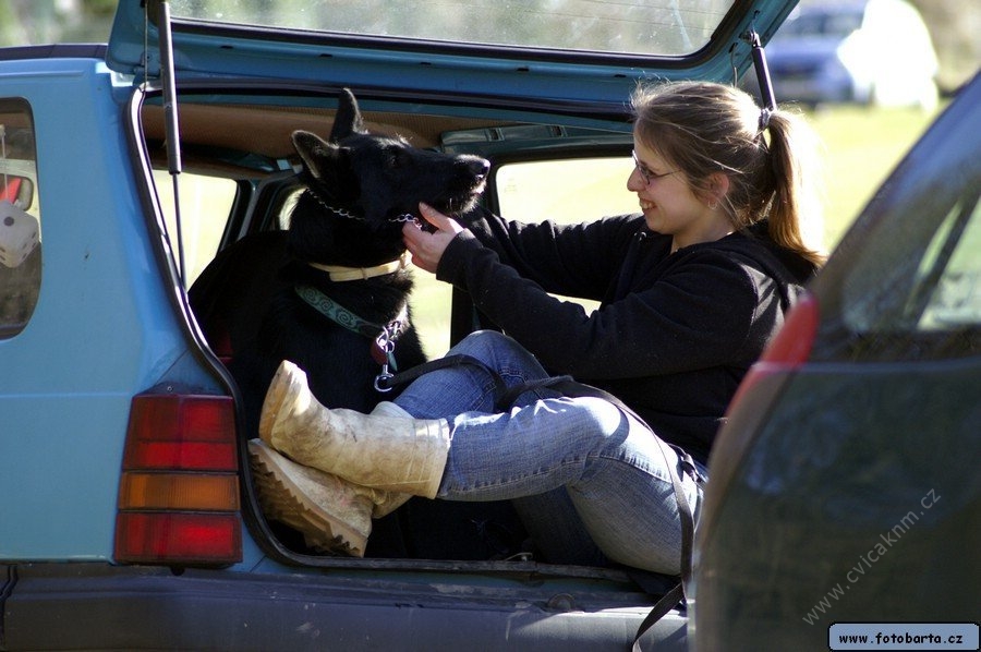Krmení a zdraví pejska...
