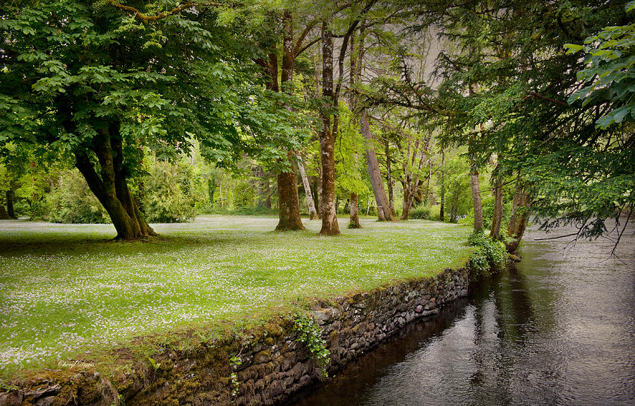 peaceful-ireland-landscape-cheryl-davis