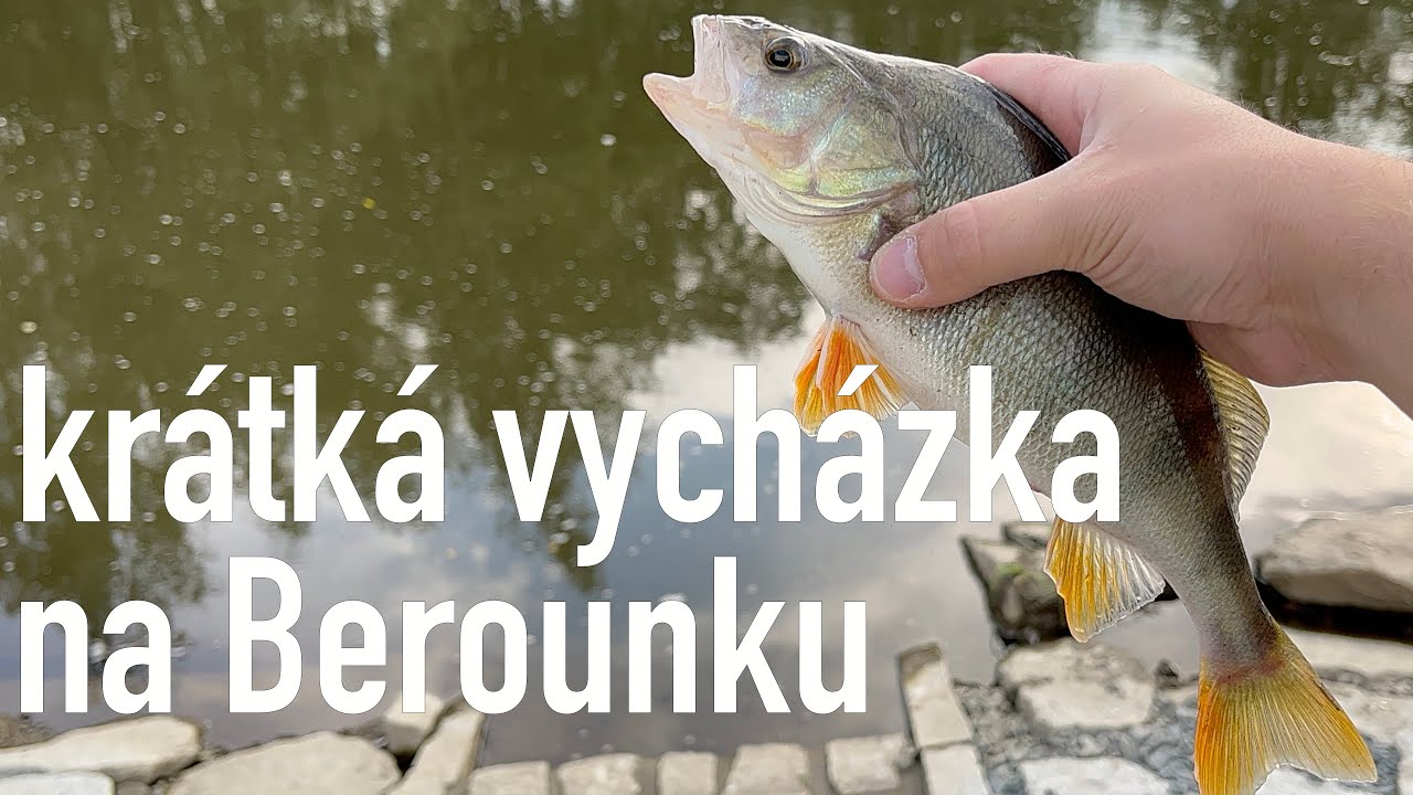 Krátká vycházka na Berounce ♥️