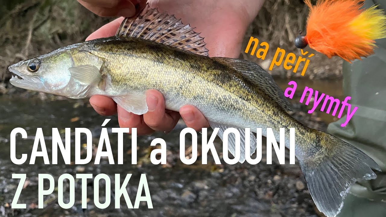 CANDÁTI Z POTOKA - na peří a nymfy