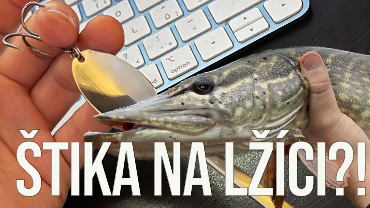 Štika na LŽÍCI! 🔥