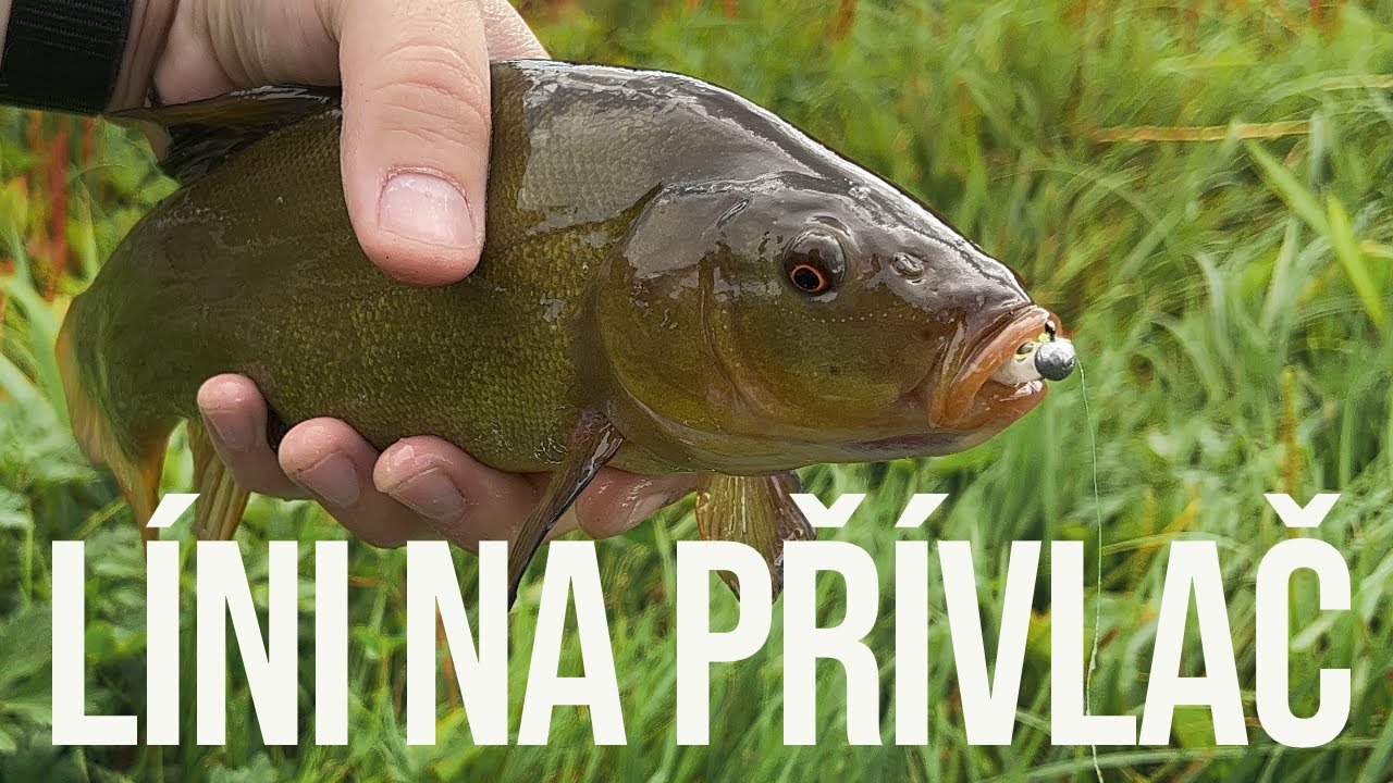 Chytám líny na přívlač