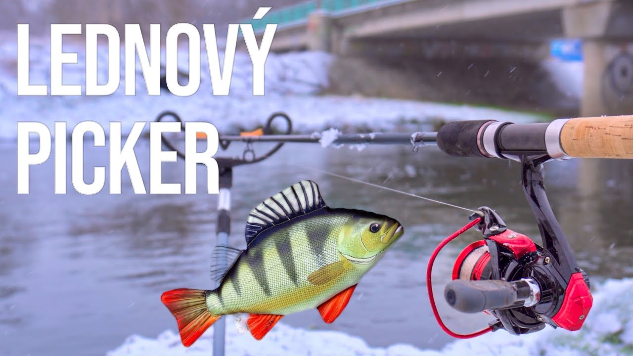 Lednový picker: první letošní okoun