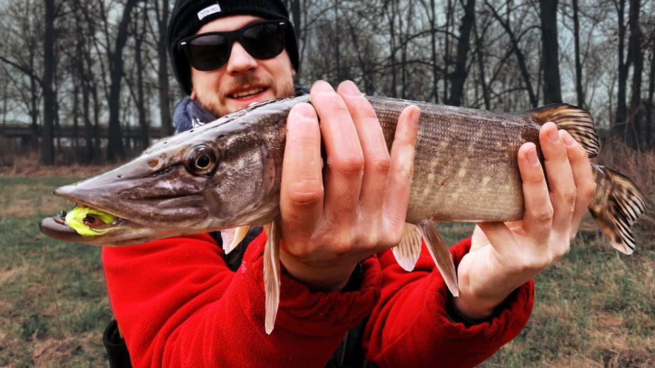 První sníh, ztracené pruty, vlastní nástrahy,...