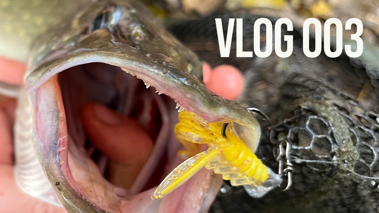 Nymfa je gamechanger 🔥💪