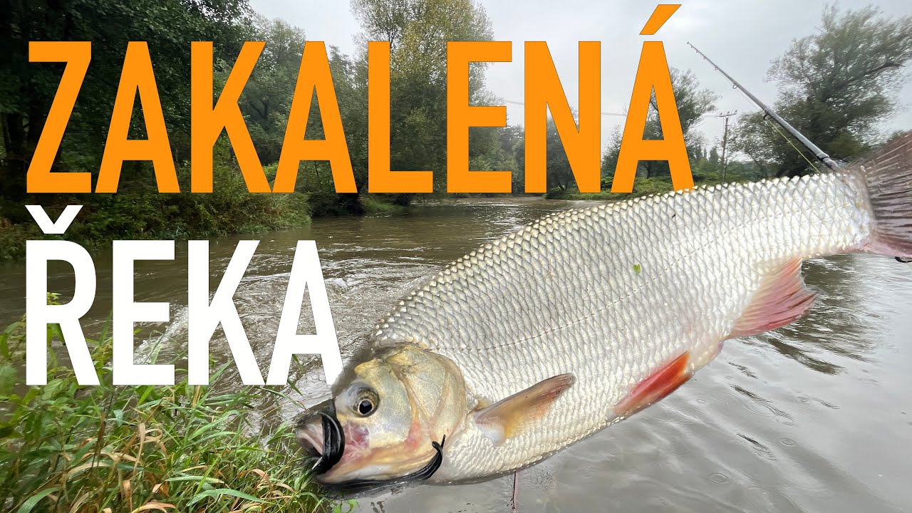 Přívlač v zakalené řeče? Nesmysl?