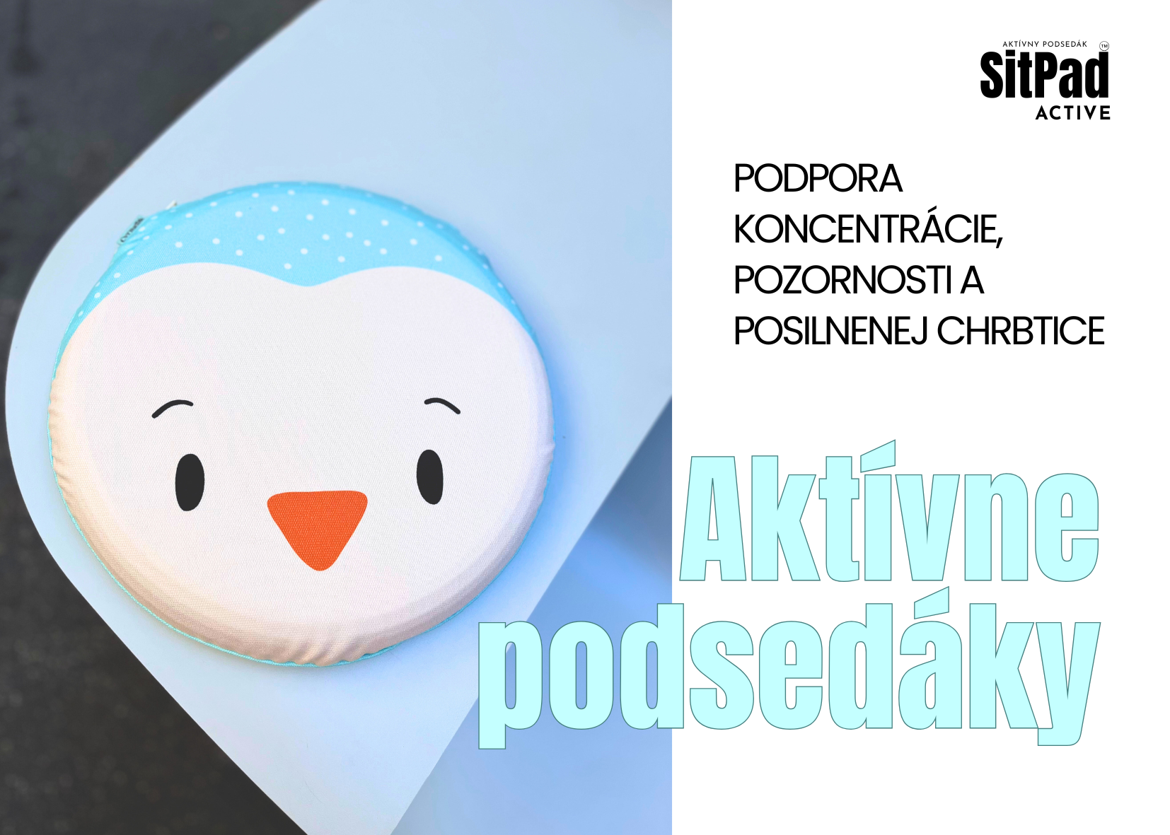 Aktívny podsedák FERN